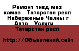 Ремонт тнвд маз, камаз - Татарстан респ., Набережные Челны г. Авто » Услуги   . Татарстан респ.